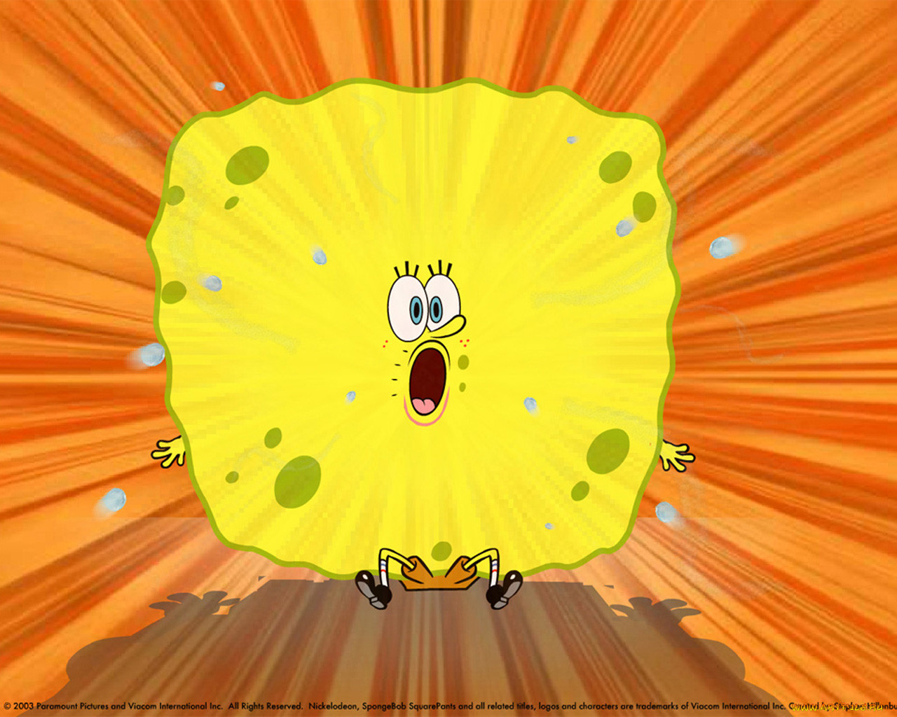 , spongebob, squarepants